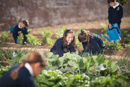 Foto Colegio School Valencia #2