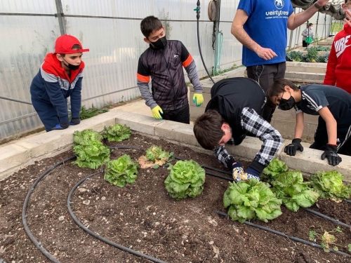 Foto Colegio Tierra De Pinares #1