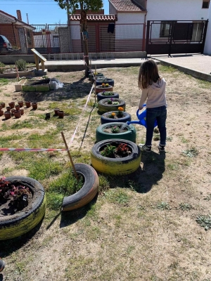 Foto Colegio Tierra De Pinares #2