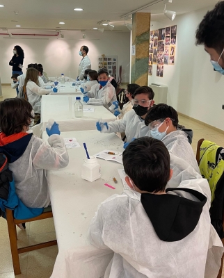 Foto Colegio Tierra De Pinares #2