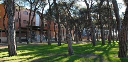 Foto Colegio Apostolado Del Sagrado Corazón #2