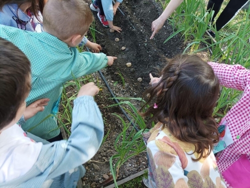 Foto Colegio Miguel Delibes #2
