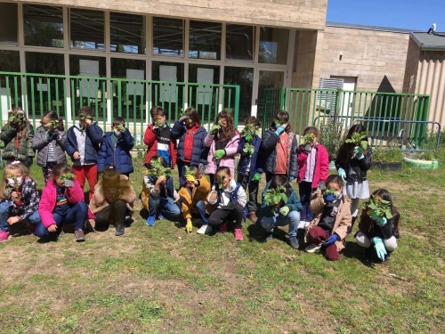 Foto Colegio Miguel Delibes #2