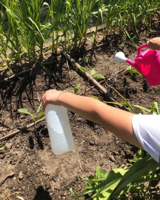 Foto Colegio Miguel Delibes #2