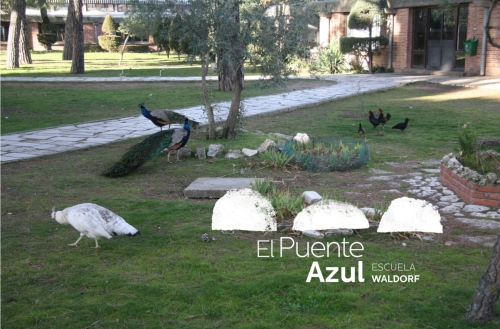 Foto Colegio El Puente Azul #1