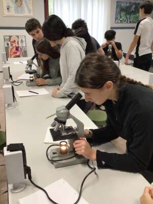 Colegio El Carmelo Ikastetxea