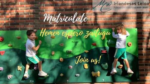 Foto Colegio Irlandesas #3