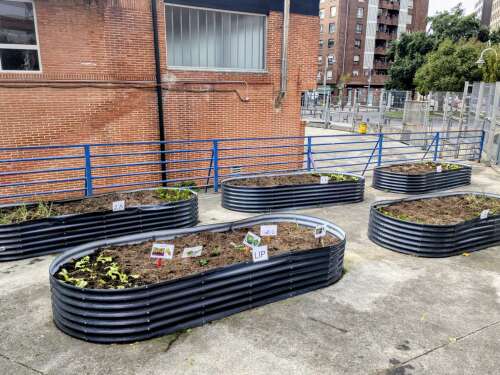 Foto Colegio San Inazio/ San Ignacio #3