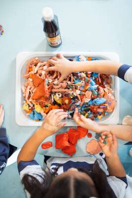 Foto Colegio Británico de Aragón #2