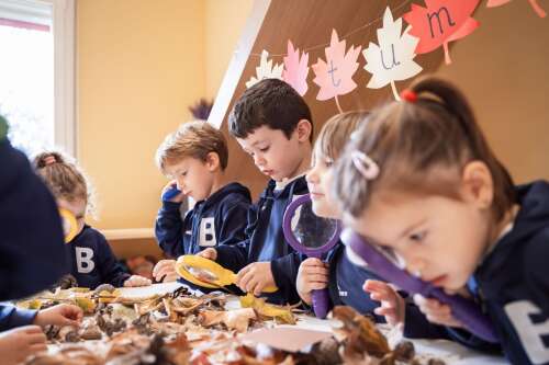 Foto Colegio Británico de Aragón #2