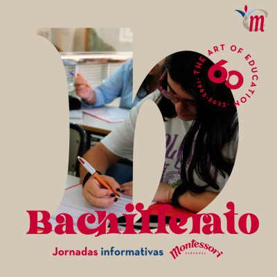 Foto Colegio Montessori Zaragoza #2