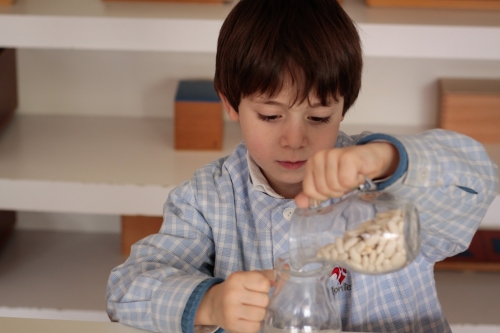 Foto Colegio Montessori Zaragoza #2