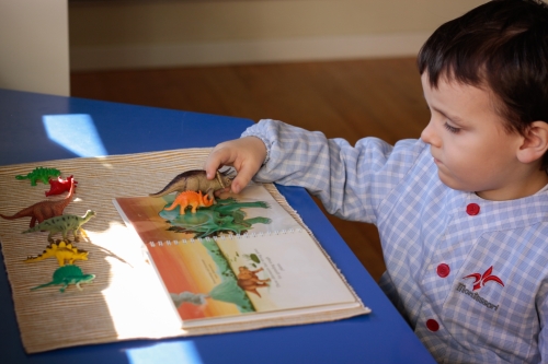 Foto Colegio Montessori Zaragoza #2