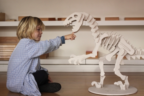 Foto Colegio Montessori Zaragoza #2