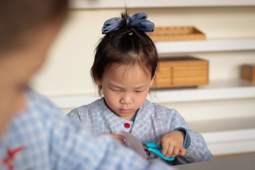 Foto Colegio Montessori Zaragoza #2