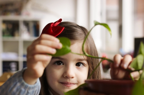 Foto Colegio Montessori Zaragoza #2