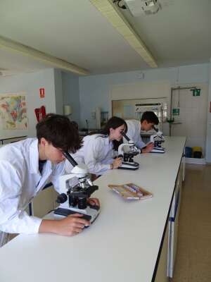 Foto Colegio Lycée Français Molière #2