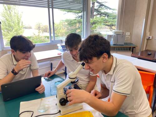 Foto Colegio Teresiano Del Pilar #2