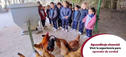 Foto Colegio Sagrado Corazón De Jesús #2