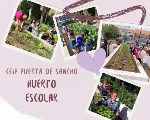 Foto Colegio Puerta De Sancho #2