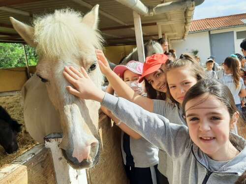 Foto Colegio Inglés Zaragoza #2