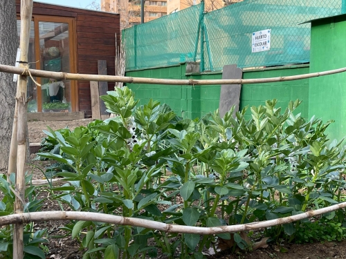 Foto Colegio Sagrado Corazón Moncayo #2