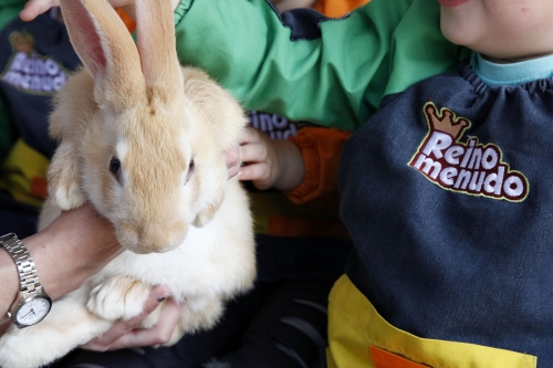 Foto Escuela Infantil Reino Menudo #3