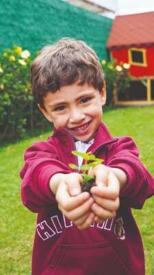 Photo Colegio Bilingüe Hispanoamericano Conde Ansúrez #2