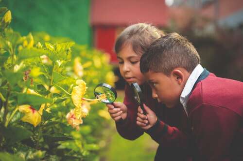 Photo Colegio Bilingüe Hispanoamericano Conde Ansúrez #2
