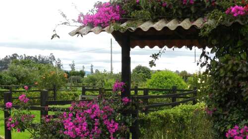 Foto Colegio Evergreen School #2