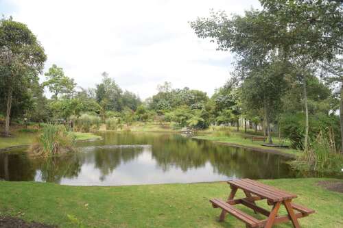 Foto Colegio Los Nogales #2