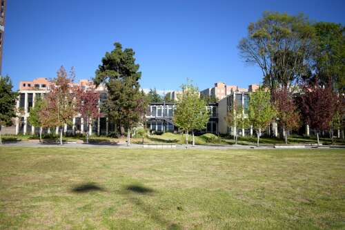 Foto Colegio Colegio Colombo Hebreo #3