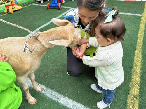Foto Jardín Infantil Jardín Infantil Librito Encantado #2