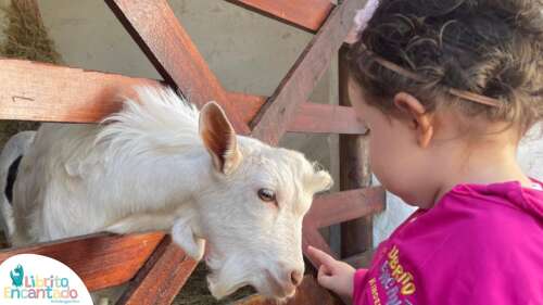 Foto Jardín Infantil Jardín Infantil Librito Encantado #2