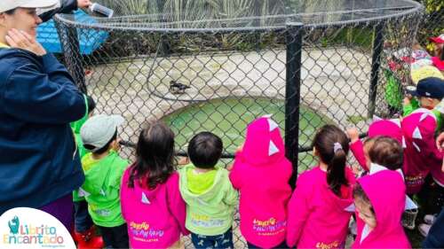 Foto Jardín Infantil Jardín Infantil Librito Encantado #2