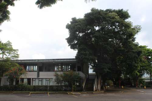 Foto Colegio Gimnasio Pereira #2