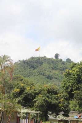 Foto Colegio Gimnasio Pereira #1