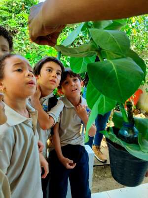 Foto Colegio Pinar del Prado #2