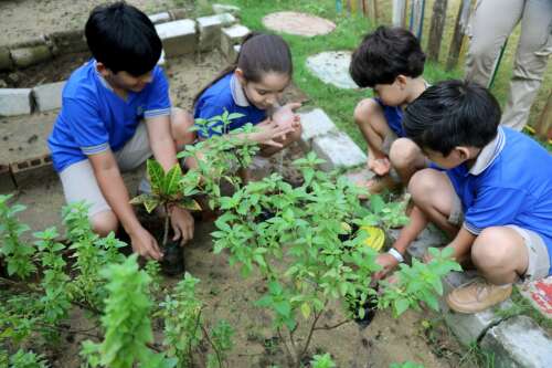 Foto Colegio Pinar del Prado #2