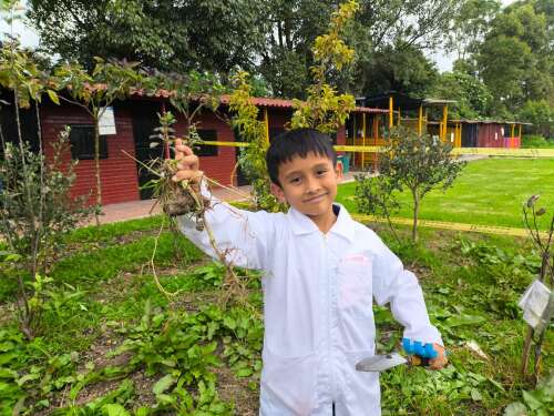 Foto Colegio Colegio de educación Técnica y Académica Célestin Freinet Sede Bilingüe #2
