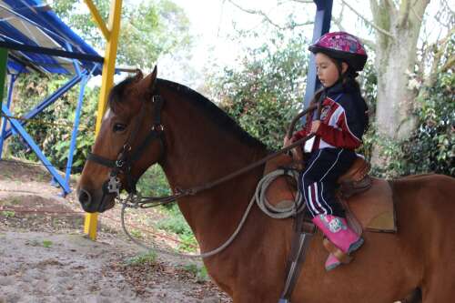 Foto Colegio Colegio de educación Técnica y Académica Célestin Freinet Sede Bilingüe #2