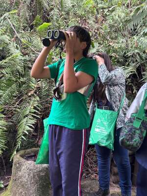 Colegio del Sagrado Corazón de Jesús, Bethlemitas Armenia