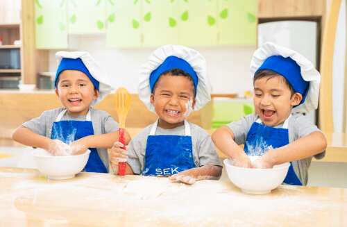 Colegio Internacional SEK Los Valles