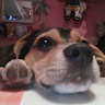 Foto de Antonia Molina