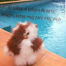 Foto de Jelen Walls