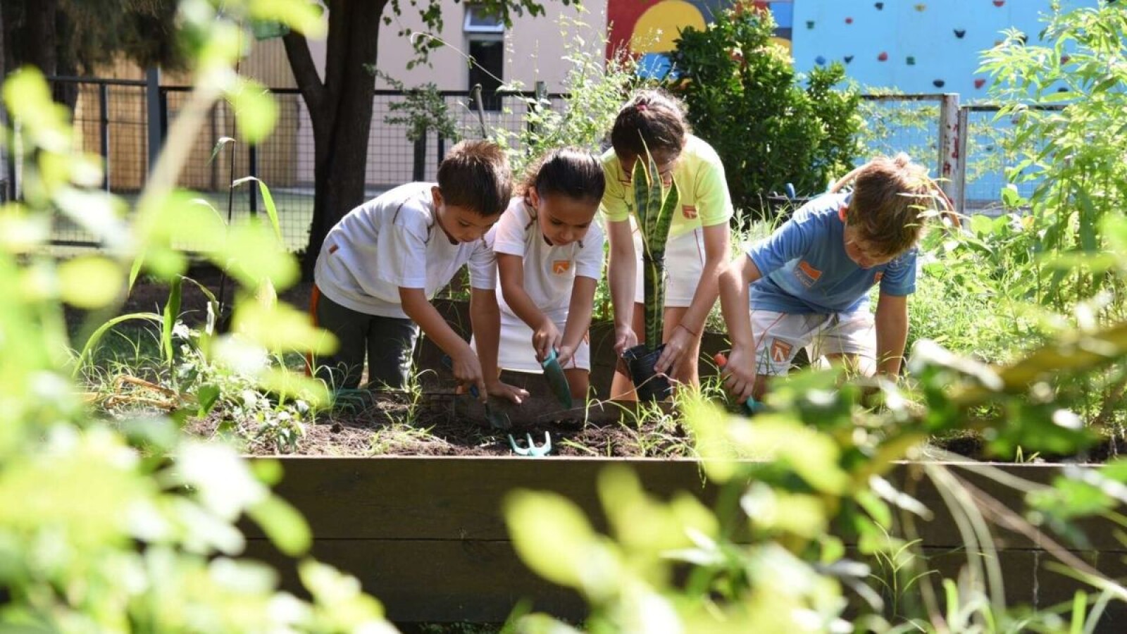 Northfield School, Campus Puertos, compite por un premio mundial de innovación