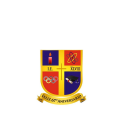 Logo de IE medalla milagrosa