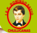 Logo de IEP Domingo Savio
