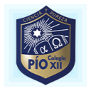 Logo de Colegio Pio XII 