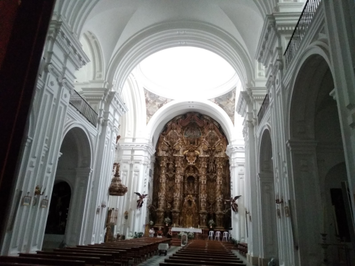 Instituto Marcelo Spínola En Umbrete Opiniones Y Precios 2025